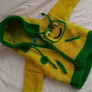 Crotchet Frog Hoodie 9- 12 m